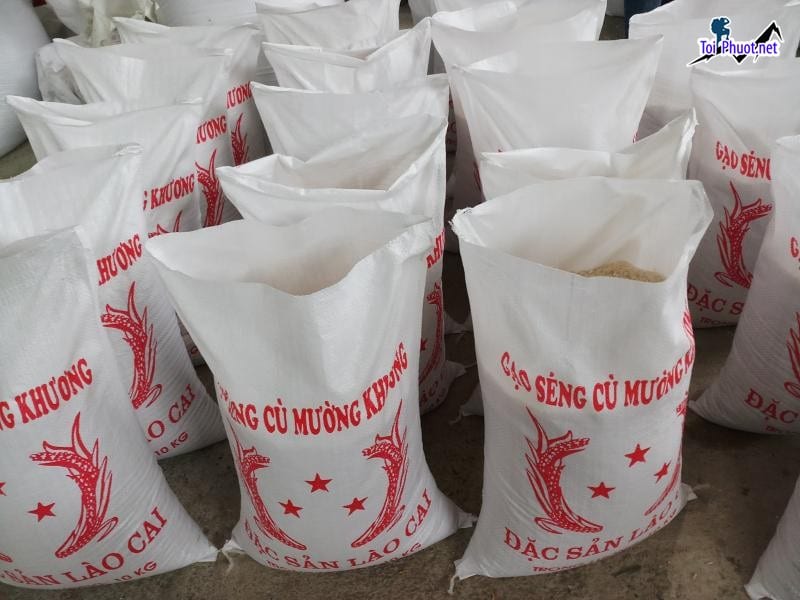 Top 3 cửa hàng gạo gần đây chất lượng Việt Trì Phú Thọ mềm dẻo mịn