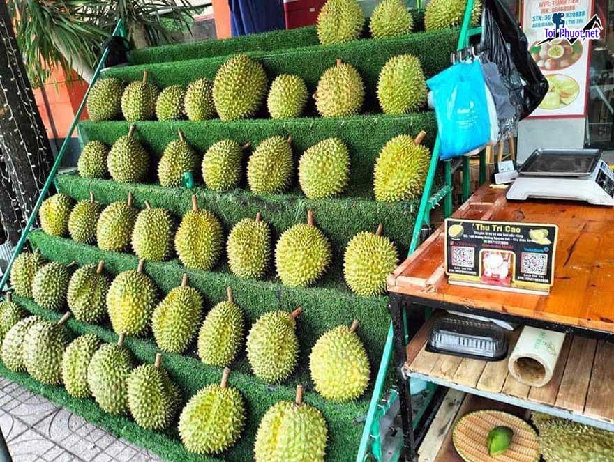 Top 3 cung cấp bán sầu riêng giá rẻ tốt chất lượng Cần Thơ để phân phối