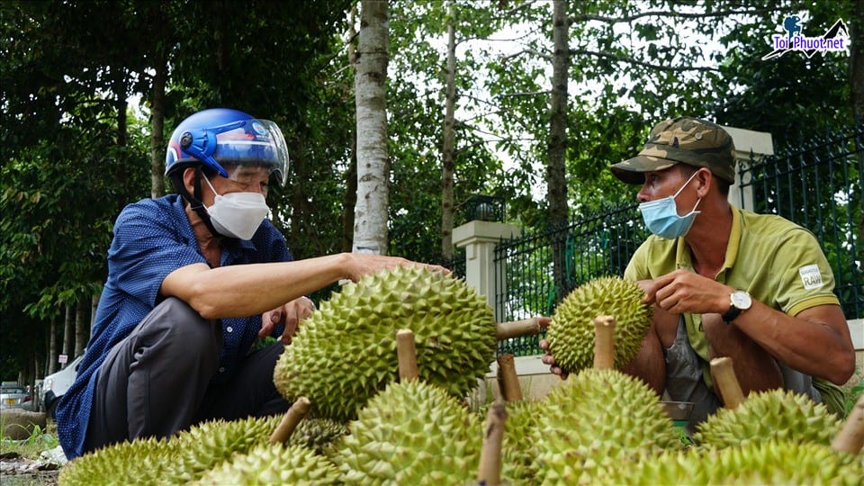 Top 3 cung cấp bán sầu riêng giá rẻ tốt chất lượng Sài Gòn Hồ Chí Minh không nên bỏ qua