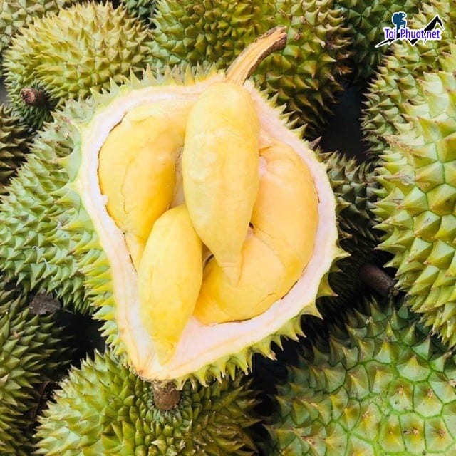 Top 3 cung cấp bán sầu riêng giá rẻ tốt chất lượng Thủ Dầu Một Bình Dương hàng tốt