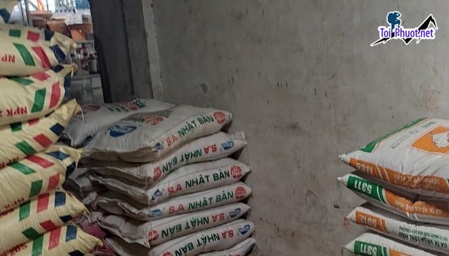 Top 4 bán thức ăn gia súc gia cầm Buôn Ma Thuột Đắk Lắk được bà con tin tưởng