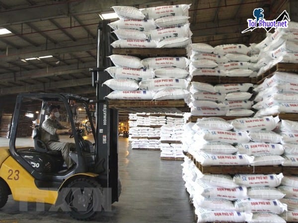 Top 4 bán thức ăn gia súc gia cầm Hải Dương đảm bảo chất lượng dịch vụ tốt nhất