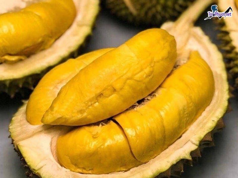 Top 4 cung cấp bán sầu riêng giá rẻ tốt chất lượng Hà Giang giao tận nơi