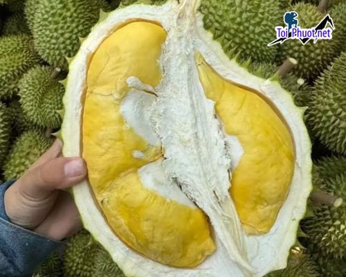 Top 4 cung cấp bán sầu riêng giá rẻ tốt chất lượng Phan Rang   Tháp Chàm Ninh Thuận tươi ngon nhất (3)