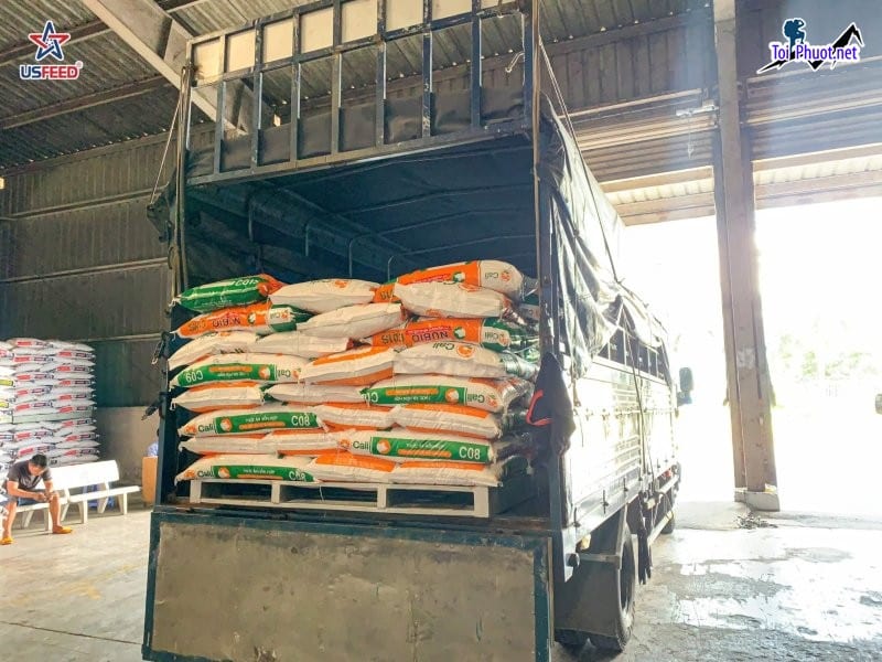 Top 5 bán thức ăn gia súc gia cầm Hà Giang dịch vụ chuyên nghiệp, tận tình