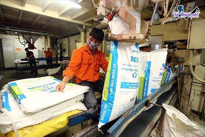 Top 5 bán thức ăn gia súc gia cầm Vị Thanh Hậu Giang hợp với túi tiền người chăn nuôi
