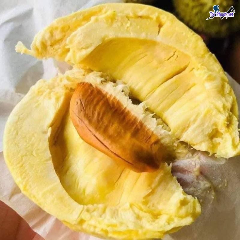 Top 5 cung cấp bán sầu riêng giá rẻ tốt chất lượng Biên Hòa Đồng Nai được yêu thích