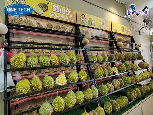 Top 5 cung cấp bán sầu riêng giá rẻ tốt chất lượng Hưng Yên tươi ngon