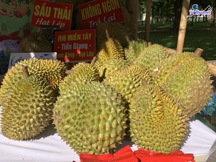 Top 5 cung cấp bán sầu riêng giá rẻ tốt chất lượng Thái Nguyên không có thuốc (2)