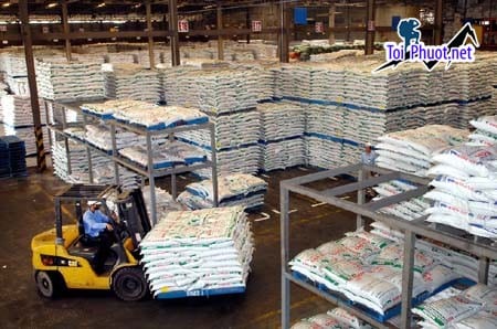 Top 6 bán thức ăn gia súc gia cầm Cao Bằng tối ưu hóa lợi nhuận