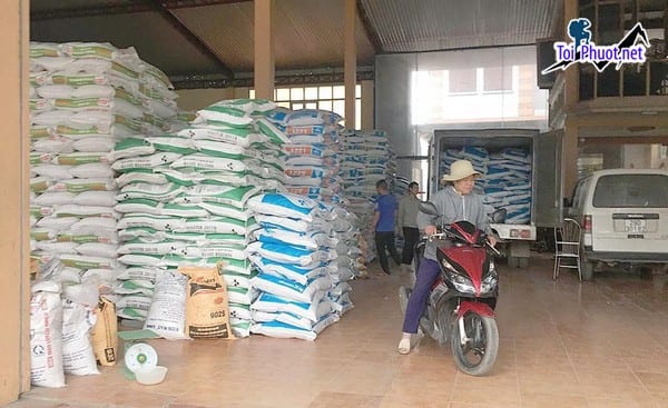 Top 6 bán thức ăn gia súc gia cầm Đà Lạt Lâm Đồng lớn nhanh xuất chuồng