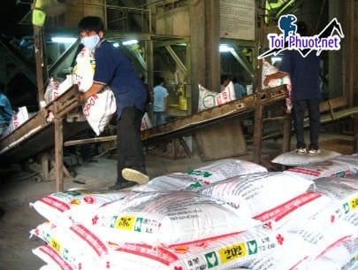 Top 6 bán thức ăn gia súc gia cầm Rạch Giá Kiên Giang mang thương hiệu uy tín (2)