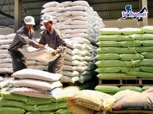 Top 7 bán thức ăn gia súc gia cầm Ninh Bình đồng hành cùng nông dân (2)