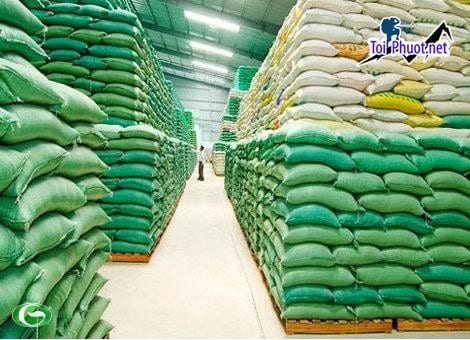 Top 8 bán thức ăn gia súc gia cầm Gia Nghĩa Đắk Nông giúp tăng trọng tốt