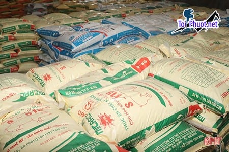 Top 8 bán thức ăn gia súc gia cầm Sơn La tối ưu hiệu quả chăn nuôi