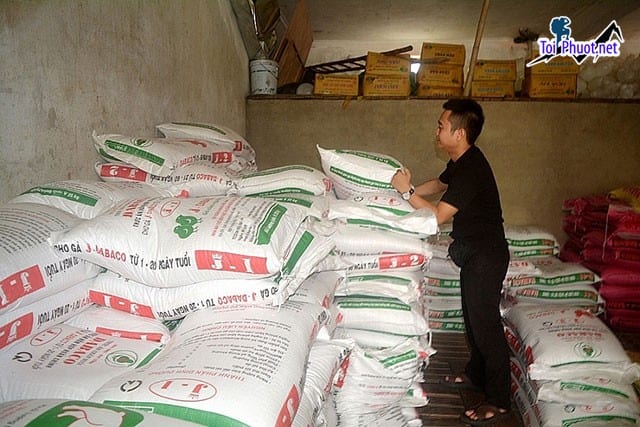 Top 8 bán thức ăn gia súc gia cầm Tân An Long An cam kết chất lượng nhất