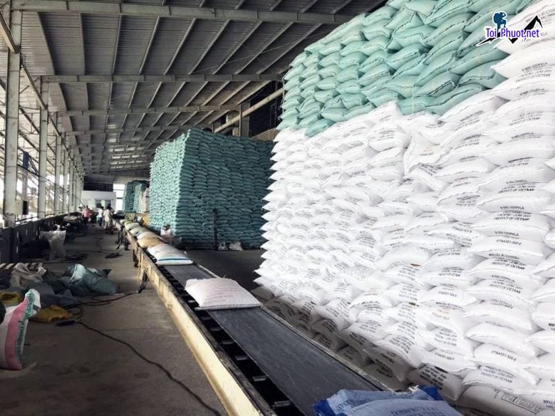 Top 8 cửa hàng gạo gần đây chất lượng Buôn Ma Thuột Đắk Lắk gạo sạch