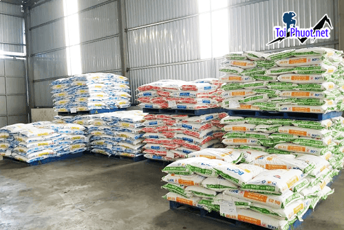 Top 9 bán thức ăn gia súc gia cầm Thái Bình vật nuôi phát triển khỏe mạnh