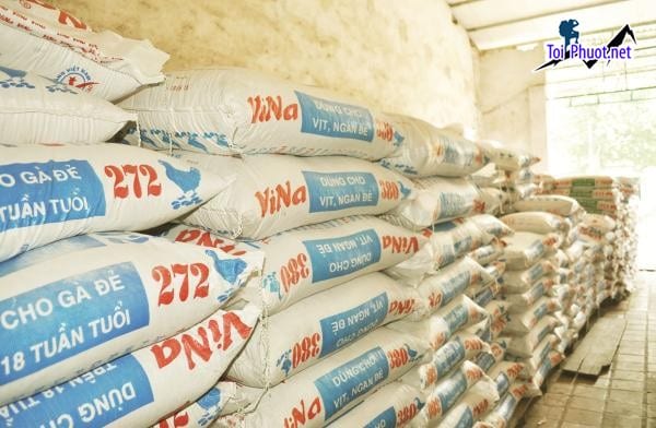 Top bán thức ăn gia súc gia cầm Tuyên Quang uy tín hàng đầu